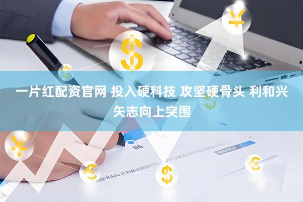 一片红配资官网 投入硬科技 攻坚硬骨头 利和兴矢志向上突围